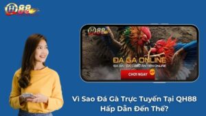 Đá Gà QH88 Đăng Nhập: Sân Chơi Cược Gà Livestream Hấp Dẫn Hàng Đầu Hiện Nay