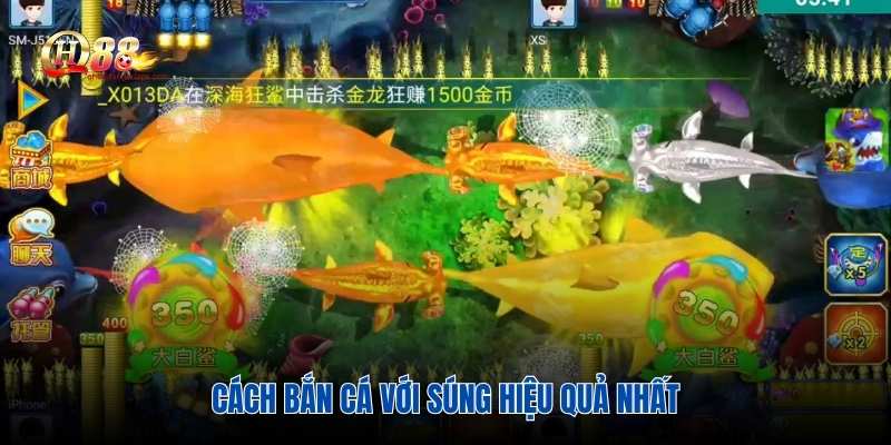 Cách bắn cá với súng hiệu quả nhất