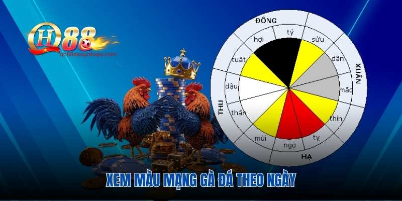 Xem màu mạng gà đá theo ngày