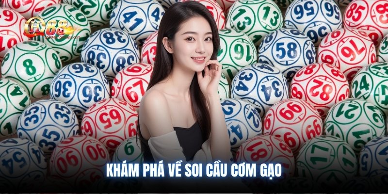 Khám phá về soi cầu cơm gạo