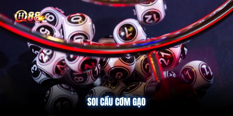 mot-so-luu-y-khi-soi-cau-com-gao (2)