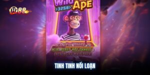 tinh-tinh-noi-loan