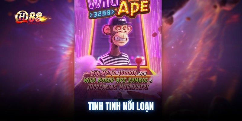 tinh-tinh-noi-loan