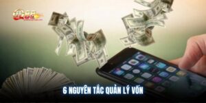 6-nguyen-tac-quan-ly-von