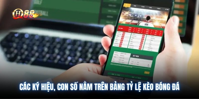 Các ký hiệu, con số nằm trên bảng tỷ lệ kèo bóng đá