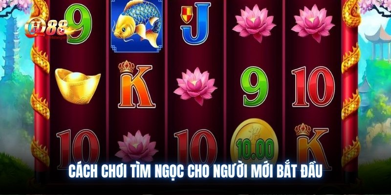 Cách chơi tìm ngọc cho người mới bắt đầu