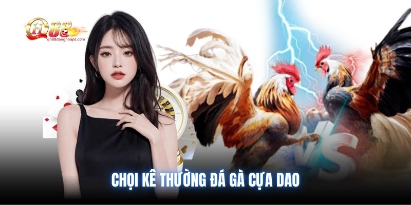 Chọi kê thường đá gà cựa dao
