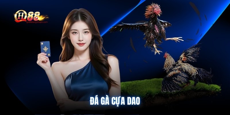 da-ga-cua-dao