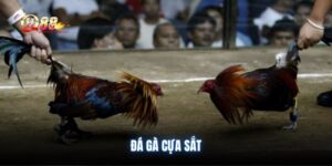 da-ga-cua-sat
