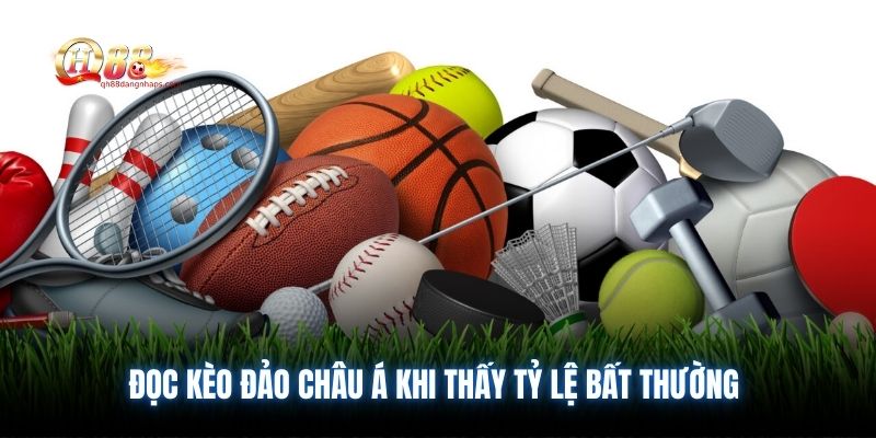 Đọc kèo đảo Châu Á khi thấy tỷ lệ bất thường