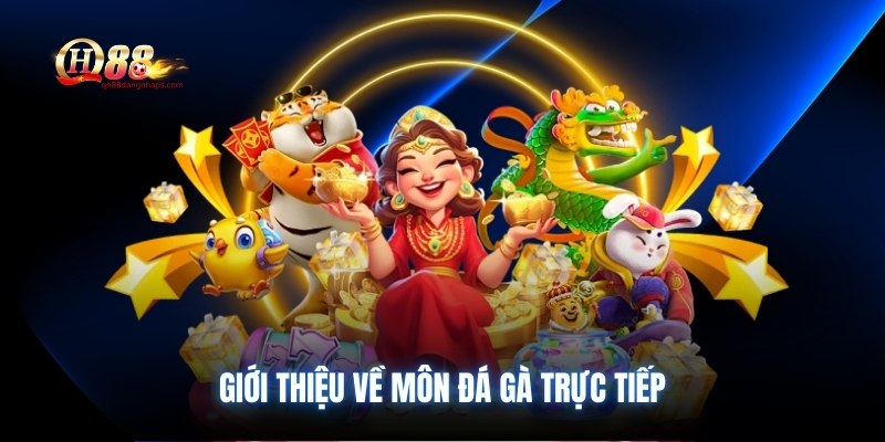Giới thiệu về môn đá gà trực tiếp