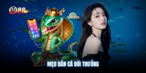meo-ban-ca-doi-thuong