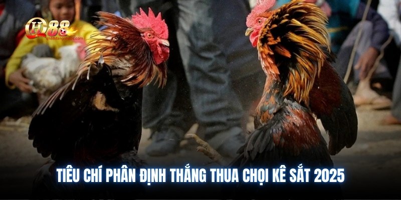 Tiêu chí phân định thắng thua chọi kê sắt 2025